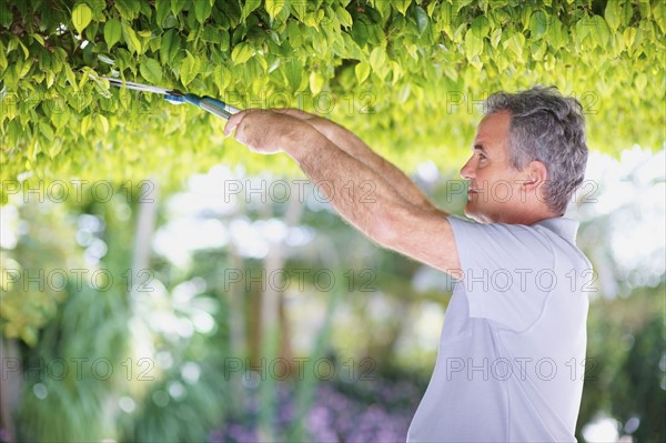 Man trimming tree. Photographer: momentimages