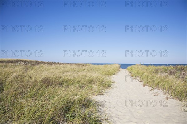 entrance to Jetties Beach