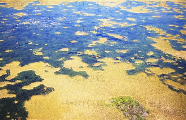 Aerial view of marsh. Photographer: fotog