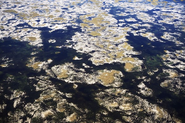 Aerial view of marsh. Photographer: fotog