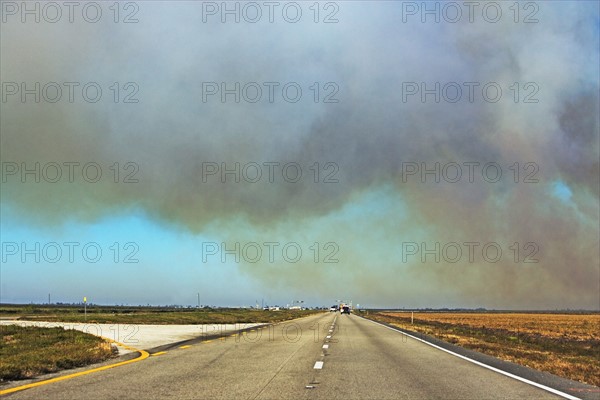 Rural road. Photographer: fotog