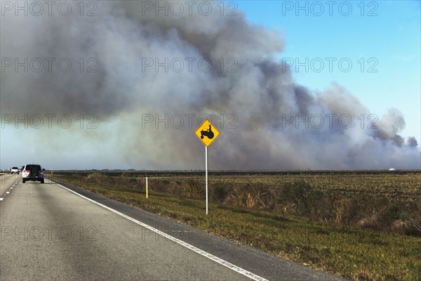 Smoke over road. Photographer: fotog