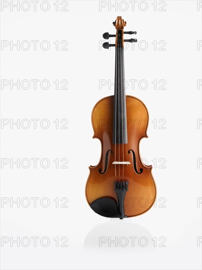 Violin. Photographer: David Arky