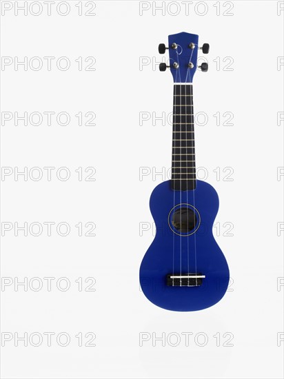 Blue guitar. Photographer: David Arky