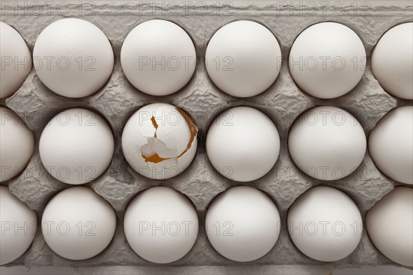 Eggs in carton. Photographer: Mike Kemp