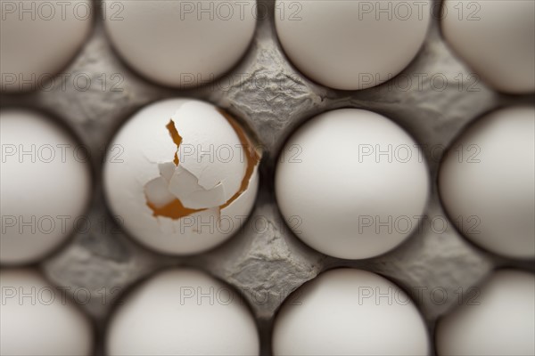 Eggs in carton. Photographer: Mike Kemp