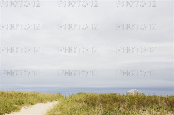 Path to the beach. Photographer: Chris Hackett