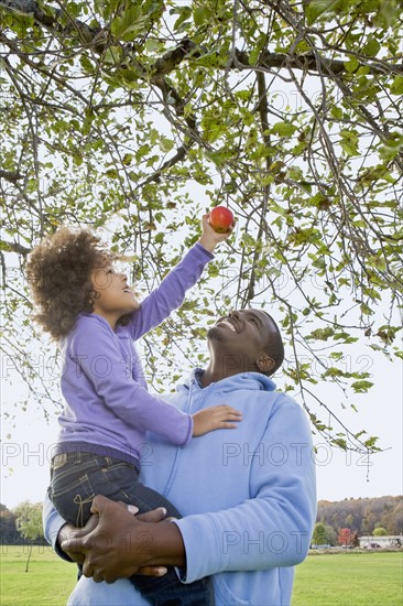 Young girl picking an apple. Photographer: Pauline St.Denis