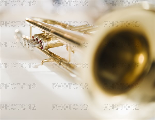 Trumpet. Photographe : Jamie Grill