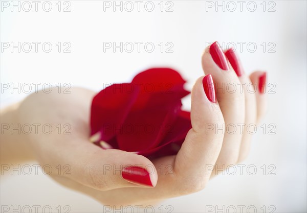 Hand holding red rose petals.