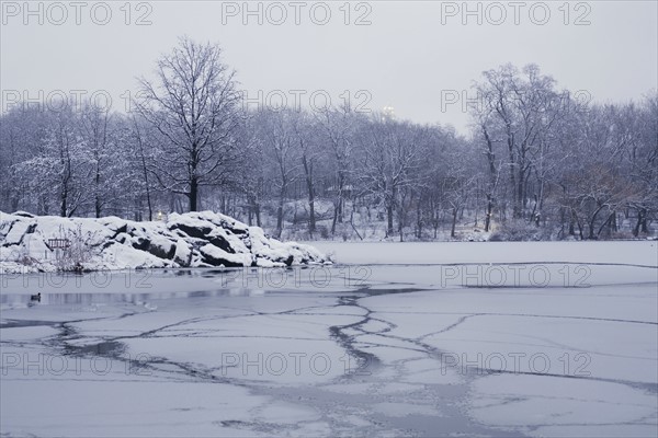 Central Park in winter. Photographe : David Engelhardt