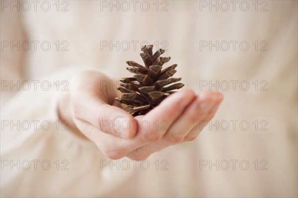 Hand holding pinecone.