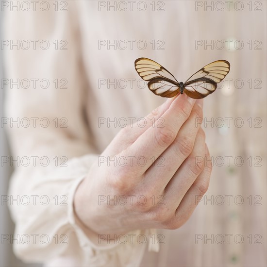 Hand holding butterfly.