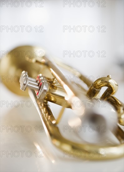 Trumpet. Photographe : Jamie Grill