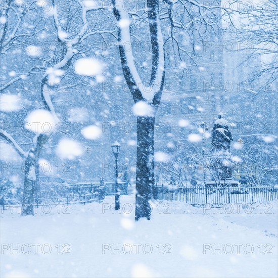 Snowy day in a park.