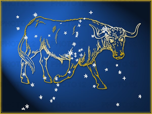 Taurus astrological sign.