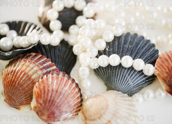 Pearls and shells. Photographe : Jamie Grill