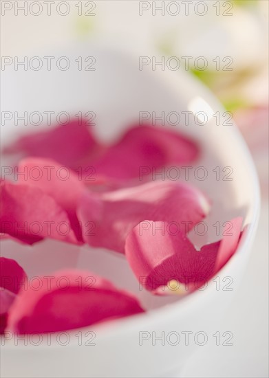 Bowl of pink rose petals. Photographe : Jamie Grill