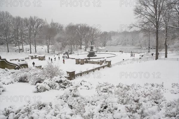 Central Park in winter. Photographe : fotog