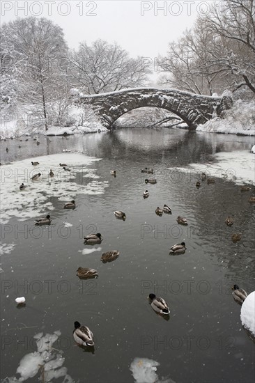 Lake and bridge in winter. Photographe : fotog