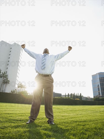 Businessman standing on lawn.