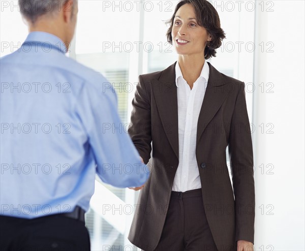 Colleagues shaking hands. Photographe : momentimages