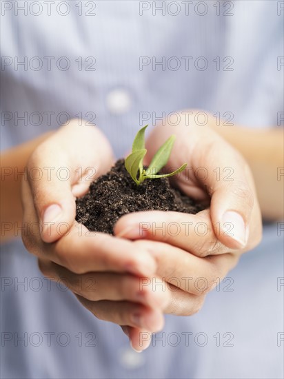 Woman holding sapling. Photographe : momentimages