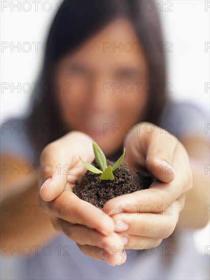 Sapling in hands. Photographe : momentimages