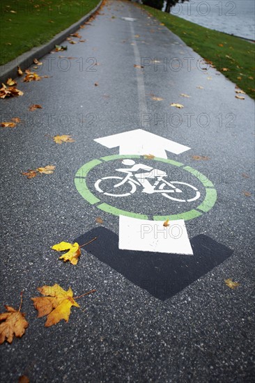 Bicycle path. Photographe : John Kelly