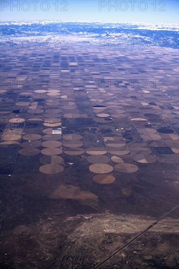 Farmland. Photographe : David Engelhardt