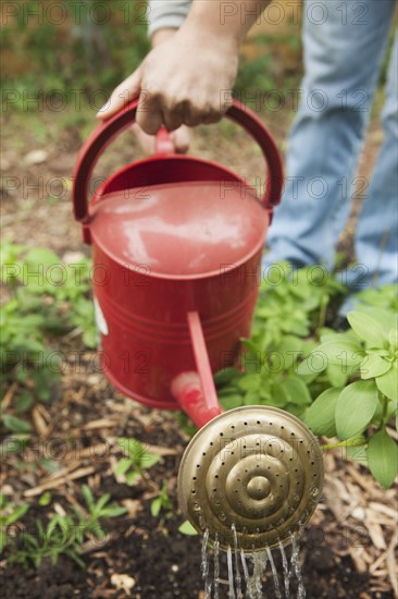 Watering the garden. Photographe : Stewart Cohen