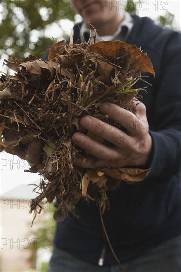 Carrying pile of leaves. Photographe : Stewart Cohen