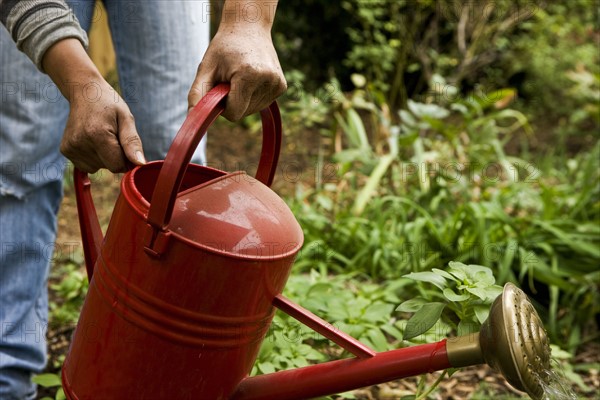 Watering the garden. Photographe : Stewart Cohen