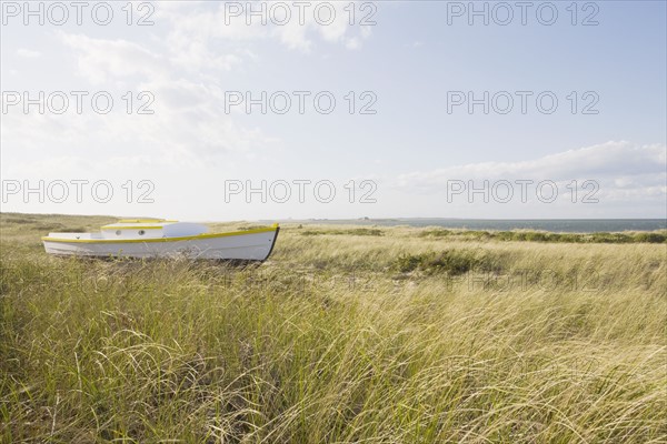 Old wooden boat in the grass. Photographe : Chris Hackett