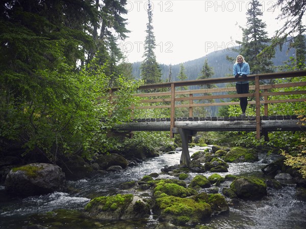 Bridge in forest. Photographe : John Kelly