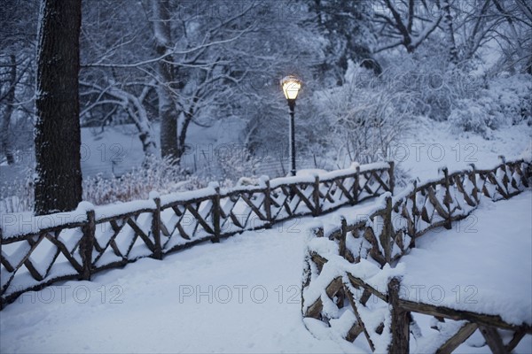 Central park in winter. Photographe : David Engelhardt