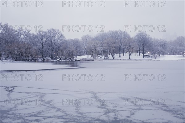 Central Park in winter. Photographe : David Engelhardt