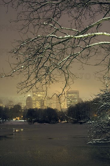 Central Park in winter. Photographe : David Engelhardt