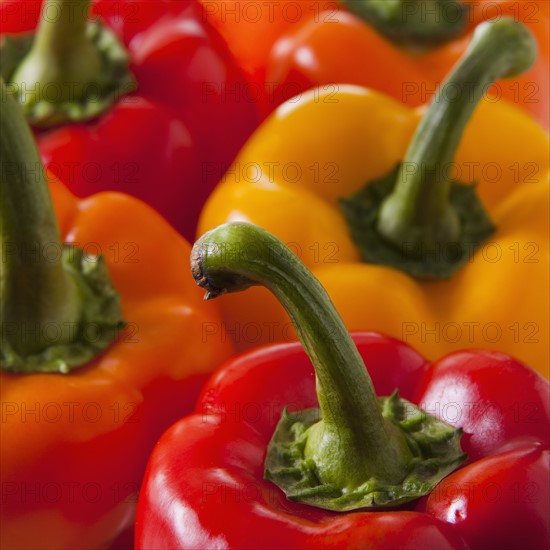 Bell peppers. Photographe : Mike Kemp