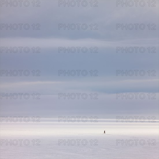 Snow covered field. Photographe : Mike Kemp