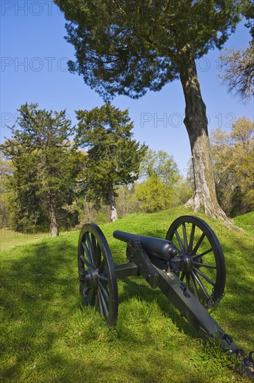 Cannon at Vicksburg National Military Park.