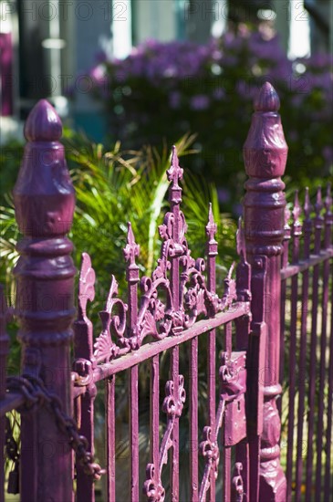 Pink iron fence.