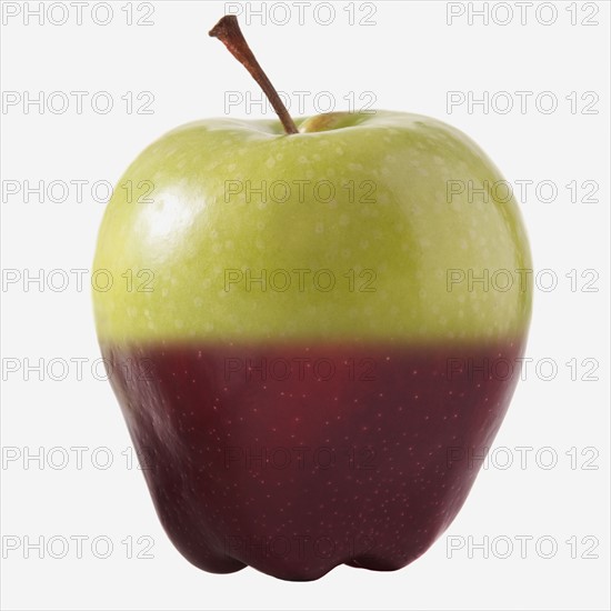 Genetically modified apple. Photo : Mike Kemp