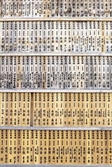 Shelves of Japanese books. Photo : Lucas Lenci Photo