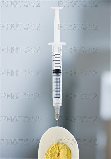 Syringe in a sliced egg. Photo : Jamie Grill