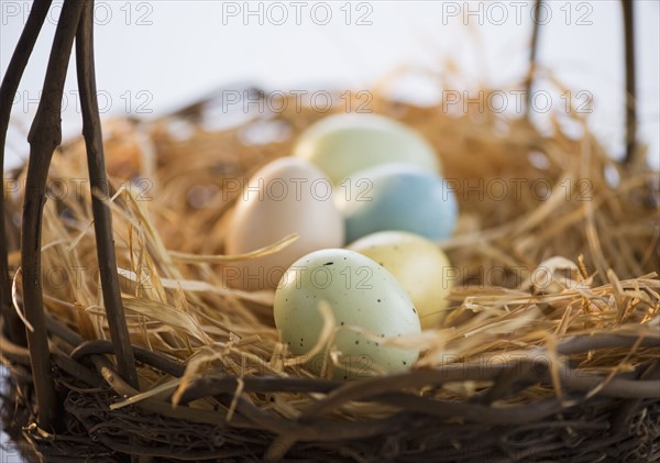 Dyed Easter eggs in a basket. Photo : Daniel Grill