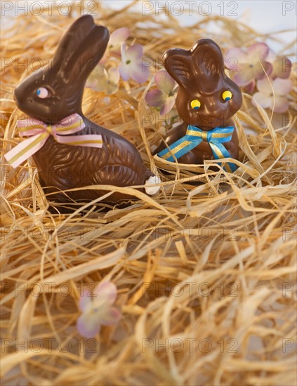 Chocolate Easter bunnies. Photo : Daniel Grill