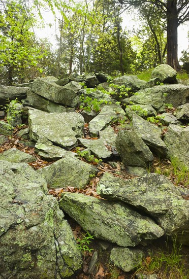 Rocks in Ward Pound Ridge Reservation.