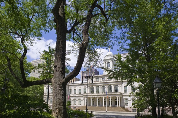 Trees in front of City Hall in New York City.