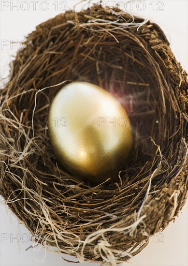 Bird's eggs in a nest. Photo : Jamie Grill